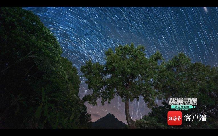 如龙0